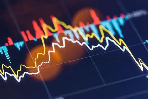 瑞蛇启新程，元宵快乐汇——中信银行合肥分行成功举办元宵节主题活动